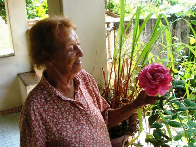 CIDALIA UMA ROSA PARA CHICO