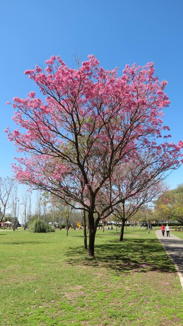 http://www.noticiasespiritas.com.br/2017/OUTUBRO/16-10-2017_arquivos/image007.jpg